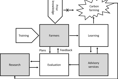 Size, Distribution, And Vulnerability Of The Global Soil Inorganic 