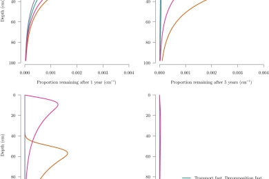 Carbon sequestration in the subsoil and the time required to stabilize carbon for climate change mitigation