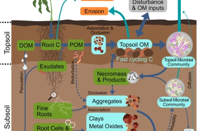 Deep-C storage: Biological, chemical and physical strategies to enhance carbon stocks in agricultural subsoils