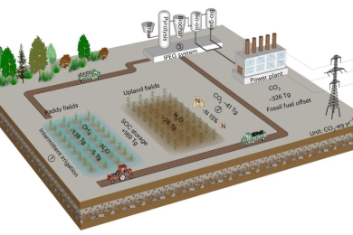 Integrated biochar solutions can achieve carbon-neutral staple crop production