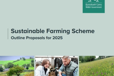 Sustainable Farming Scheme (UK Welsh)