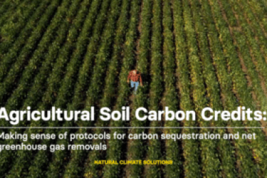 Agricultural Soil Carbon Credits: Making sense of protocols for carbon sequestration and net greenhouse gas removals