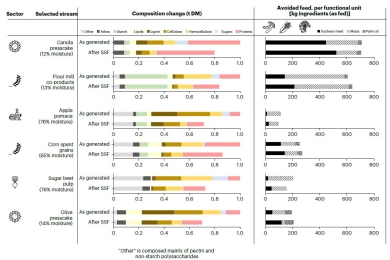 Upgrading agrifood co-products via solid fermentation yields environmental benefits under specific conditions only