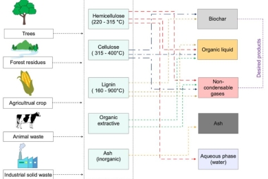 Materials, fuels, upgrading, economy, and life cycle assessment of the pyrolysis of algal and lignocellulosic biomass: a review