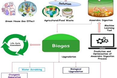 Insights into the recent advances of agro-industrial waste valorization for sustainable biogas production