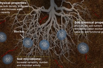 Biochar for agronomy, animal farming, anaerobic digestion, composting, water treatment, soil remediation, construction, energy storage, and carbon sequestration: a review