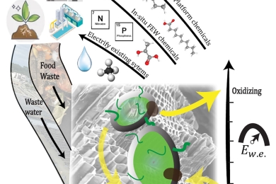 Urban circular carbon economy through electrochemically influenced microbiomes