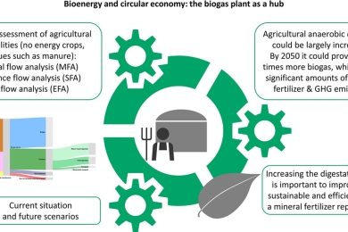 Agricultural biogas plants as a hub to foster circular economy and bioenergy: An assessment using substance and energy flow analysis