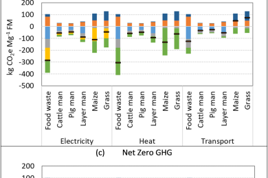 Climate mitigation efficacy of anaerobic digestion in a decarbonising economy