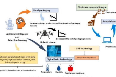 Circular bioeconomy in carbon footprint components of nonthermal processing technologies towards sustainable food system: A Review