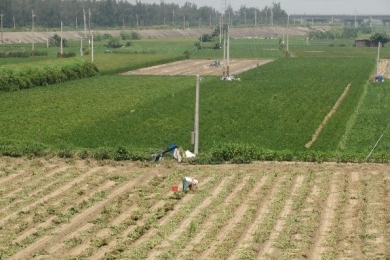 Changhua farmers develop sustainable agriculture processes in Taiwan, needs to align with international standards