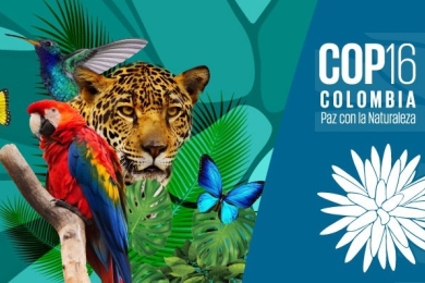 Sixteenth meeting of the Conference of the Parties to the Convention on Biological Diversity (COP 16)