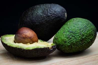 Avocado plant producing giant fruit set to hit nursery shelves