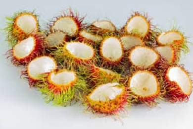 Characteristics of Vibrio cholerae isolates obtained from shrimp supply chains and inhibitory activities of rambutan (<span style="font-style:italic;">Nephelium lappaceum</span> L. cv. Rong Rian) peel aqueous extract