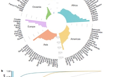 Protecting the global ocean for biodiversity, food and climate