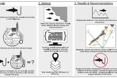 Incorporating climate-readiness into fisheries management strategies