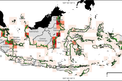 Challenges and opportunities for achieving Sustainable Development Goals through restoration of Indonesia's mangroves