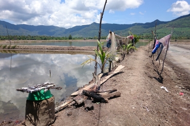 Why do fishermen feel threatened by aquavoltaics? Rent hikes, land grabbing, threats to livelihoods