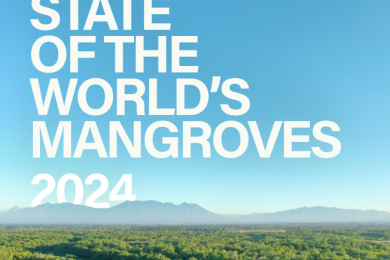 The State of the World's Mangroves 2024