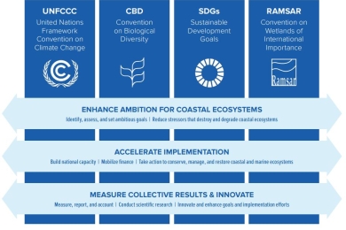 IUCN - International policy framework for blue carbon ecosystems