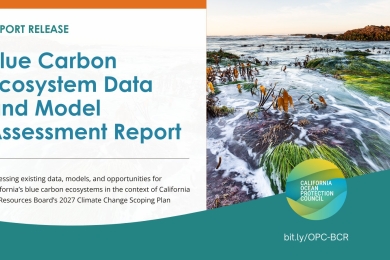 The Blue Carbon Ecosystem Data and Model Assessment Report