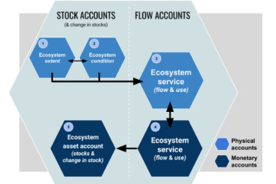 Towards a National Ocean Account