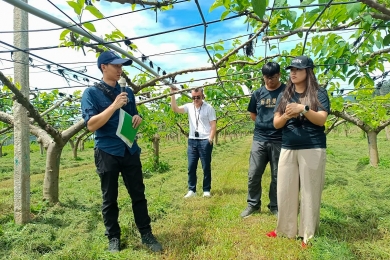 2024 DFNet Workshop on Tropical Fruit and Climate Change in Taiwan: A Resounding Success