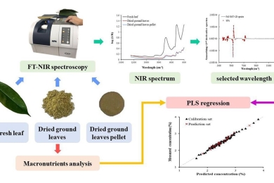 Primary assessment of macronutrients in durian (CV Monthong) leaves using near infrared spectroscopy with wavelength selection