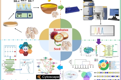 Characterization and differentiation of three rambutan seed oils using metabolomics coupled with chemometric methodology