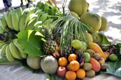 Assessing consumer interest in sustainable and ethically certified tropical fruits in the central and eastern European region