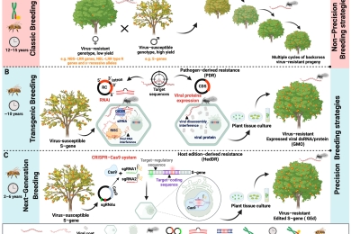 Tropical fruit virus resistance in the era of next-generation plant breeding