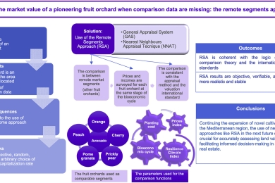 Assessing the market value of a pioneering fruit orchard when comparison data are missing: the remote segments approach