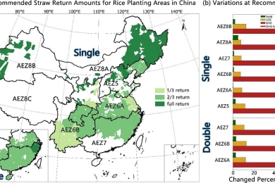 Optimizing the rate of straw returning to balance trade-offs between carbon emission budget and rice yield in China