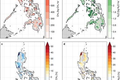 Greenhouse Gas Mitigation Potential of Alternate Wetting and Drying for Rice Production at National Scale—A Modeling Case Study for the Philippines