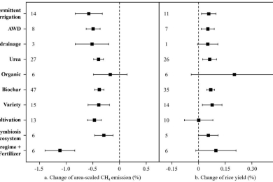 A meta-analysis on the mitigation measures of methane emissions in Chinese rice paddy