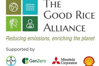 Bayer, GenZero, Shell, and Mitsubishi collaborate to empower rice farmers in India through TGRA