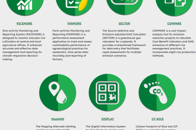 Greenhouse Gas Mitigation in Rice