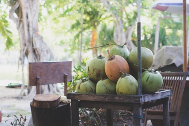 Việt Nam promotes coconut exports, enhances industry value