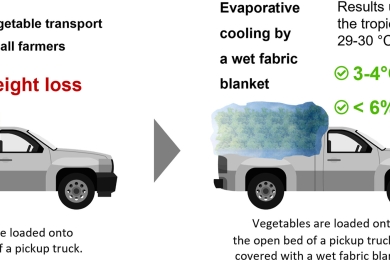 Evaporative cooling with a wet fabric blanket for non-refrigerated horticultural produce transport: An experimental study