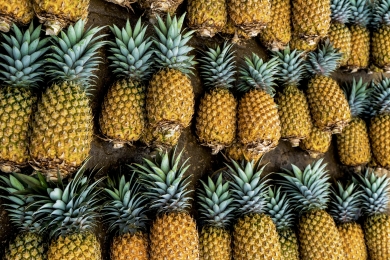 MoALI invites bidding for pineapple export to China