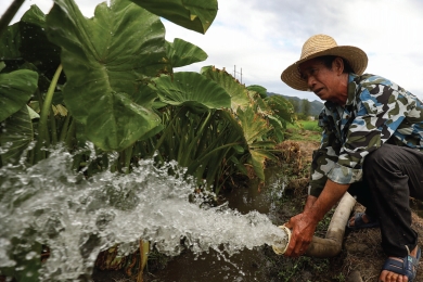 Harness agrifood value chains to help farmers be climate smart: Incentives and structures exist to improve farming practices