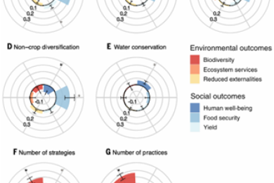 Joint environmental and social benefits from diversified agriculture