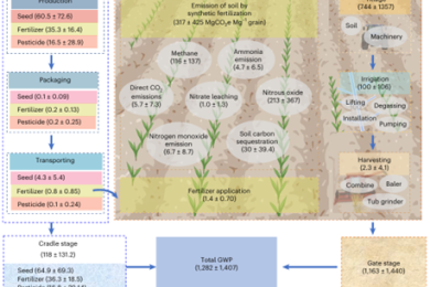 Conventional agriculture increases global warming while decreasing system sustainability