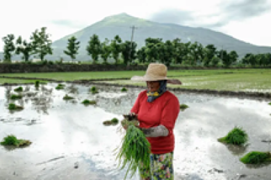 New $282 Million Program Targets Climate and Environment Action Through Agriculture and Food Systems