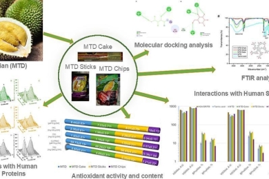 Impact of postharvest processing on the health benefits of durian-derived products