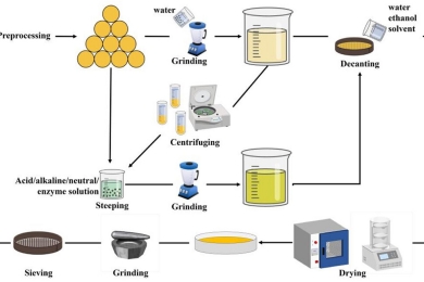 Tropical fruit-derived starch: An innovative strategy for high-value nutritional processing of agricultural solid waste