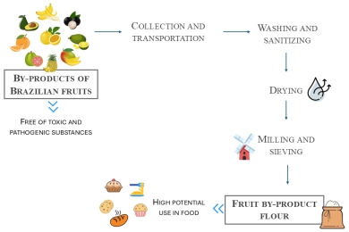 An upcycling approach from fruit processing by-products: Flour for use in food products