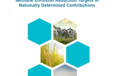 A Practical Guide for Including Agricultural Methane Emission Reduction Targets in Nationally Determined Contributions