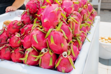 Demand for dragon fruit in Tiền Giang Province continues to increase