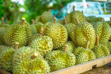 Taiwan extends mandatory inspection on Vietnamese durian imports